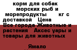  Holistic Blend корм для собак 5 морских рыб и морепродукты 11,3 кг с доставкой › Цена ­ 5 157 - Все города Животные и растения » Аксесcуары и товары для животных   . Ямало-Ненецкий АО,Лабытнанги г.